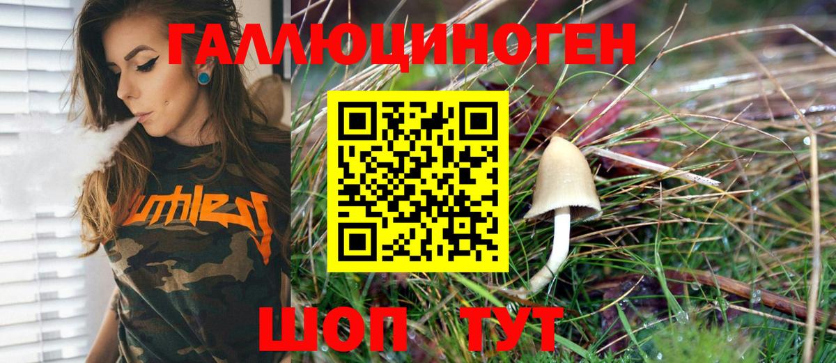Галлюциногенные грибы Psilocybe  Галлюциногенные грибы мухоморы  Вход с VPN  Екатеринбург 